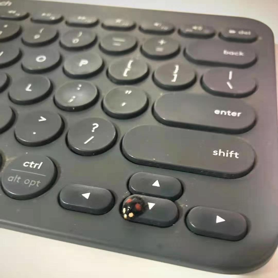ipad外接键盘使用技巧(ipad外接键盘如何使用)