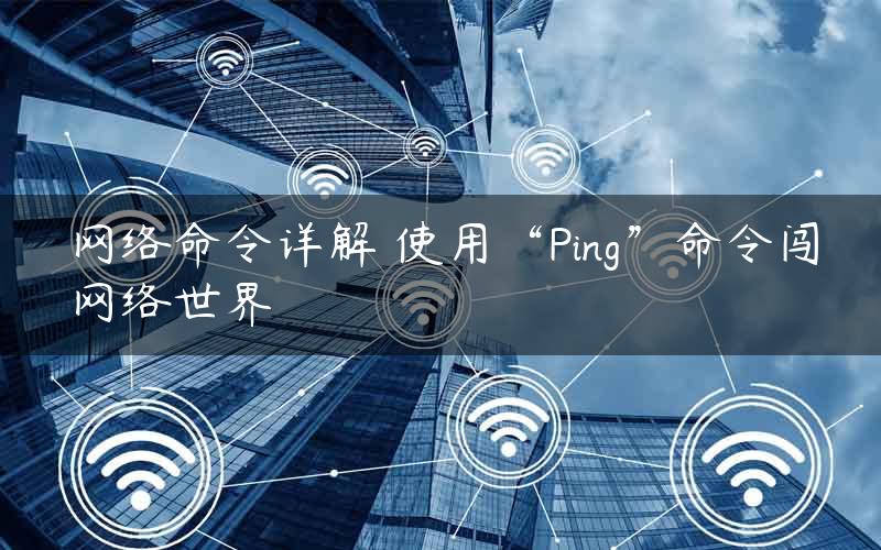 网络命令详解 使用“Ping”命令闯网络世界