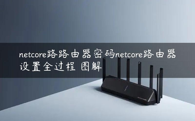 netcore路路由器密码netcore路由器设置全过程 图解