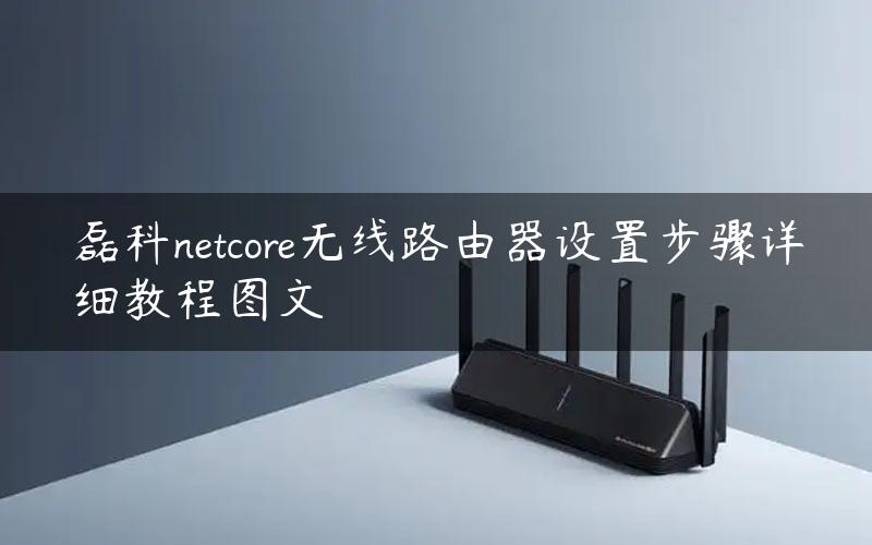 磊科netcore无线路由器设置步骤详细教程图文