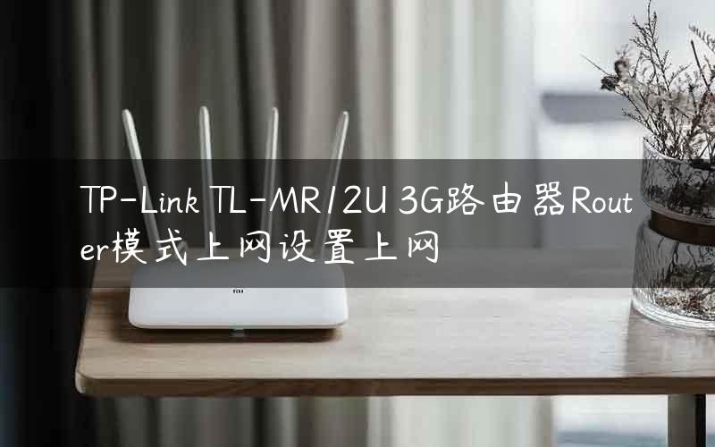 TP-Link TL-MR12U 3G路由器Router模式上网设置上网