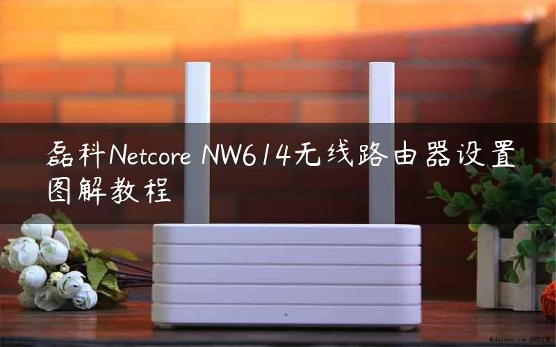 磊科Netcore NW614无线路由器设置图解教程