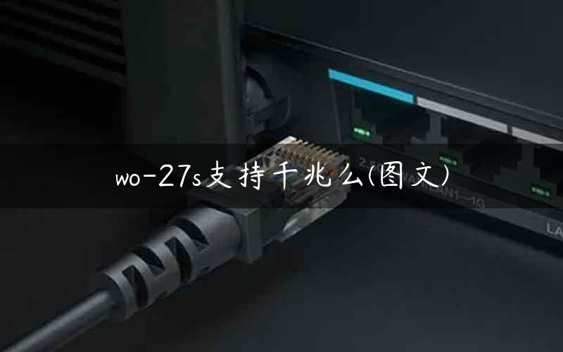 wo-27s支持千兆么(图文)