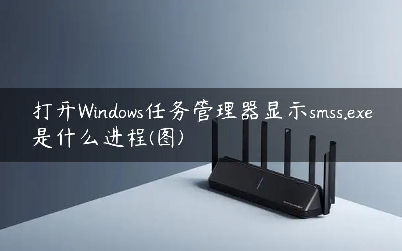 打开Windows任务管理器显示smss.exe是什么进程(图)