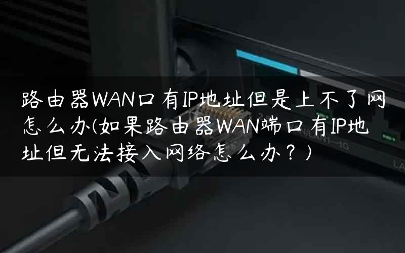 路由器WAN口有IP地址但是上不了网怎么办(如果路由器WAN端口有IP地址但无法接入网络怎么办？)