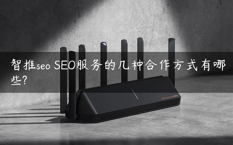 智推seo SEO服务的几种合作方式有哪些?