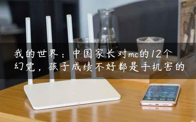 我的世界：中国家长对mc的12个幻觉，孩子成绩不好都是手机害的