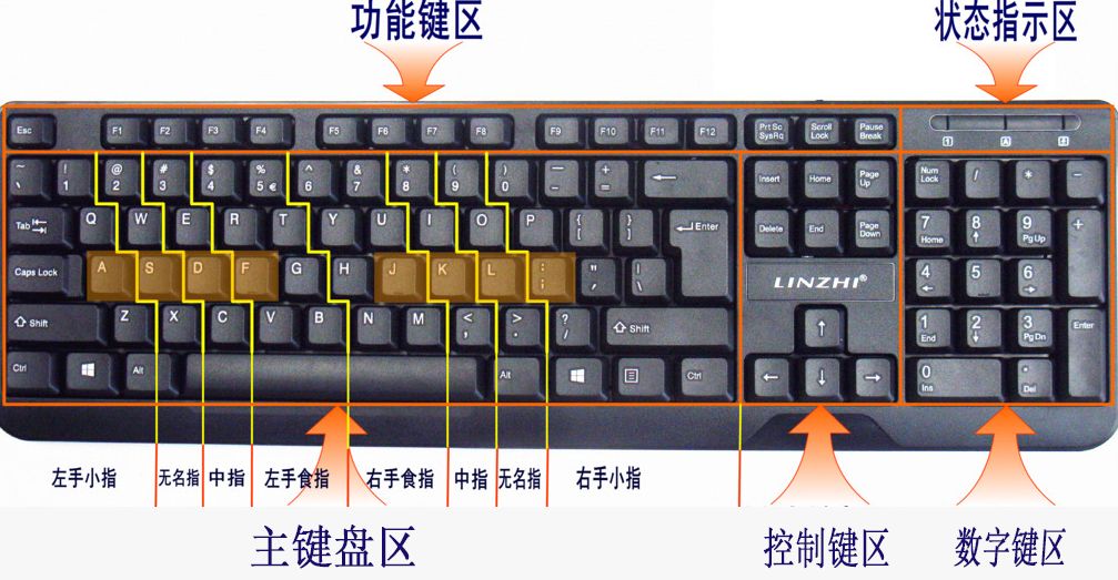 电脑键盘上的F1(电脑键盘上的f1是干什么用的)
